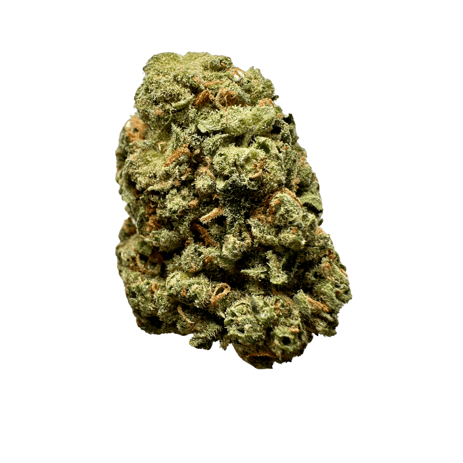 IMG_2983-removebg-min-1